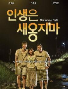 夏夜韩国在线观看,浪漫邂逅，在线共赏  第1张